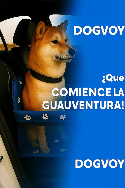 DOGVOY VIAJA SEGURO CON TU PELUDO.