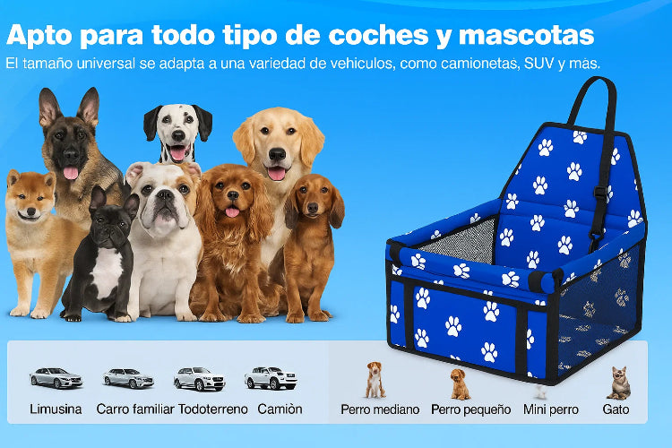 DOGVOY VIAJA SEGURO CON TU PELUDO.